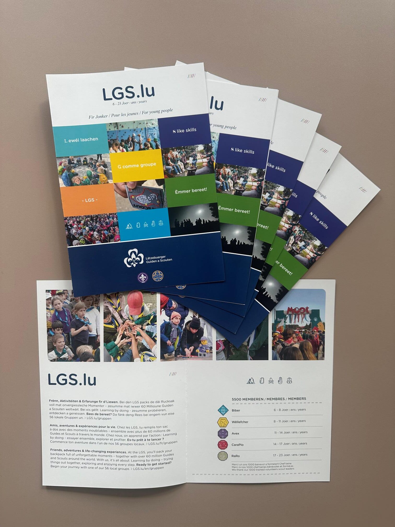 Flyer LGS