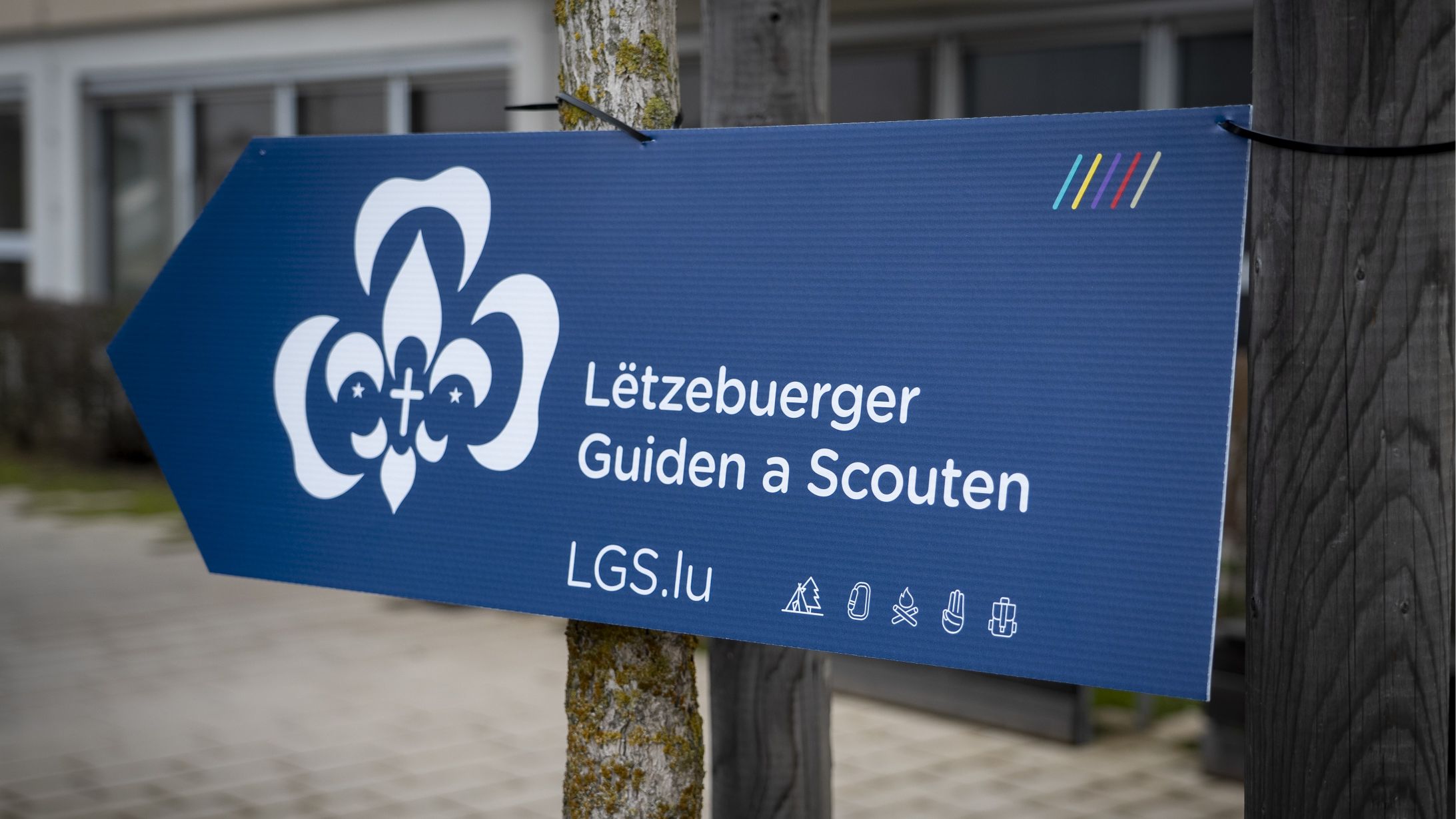Wee Schëlder